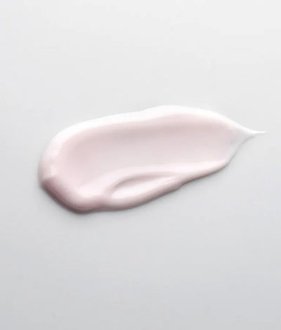 SCHRAMMEK Ageless Future Day Cream, 1 x 50 ml