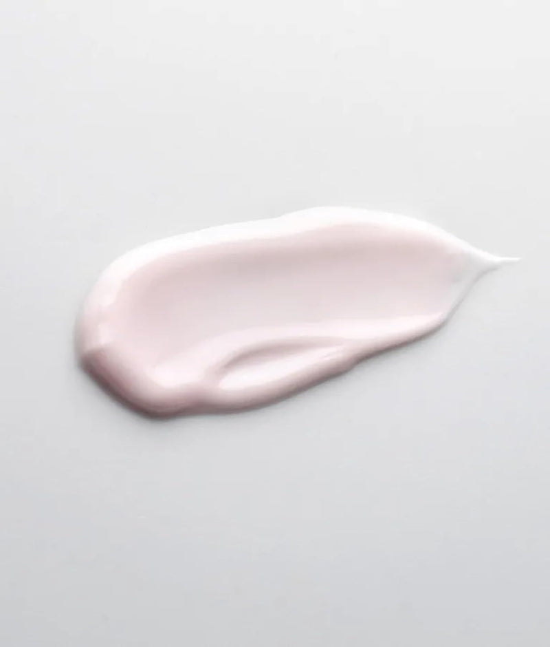 SCHRAMMEK Ageless Future Day Cream, 1 x 50 ml