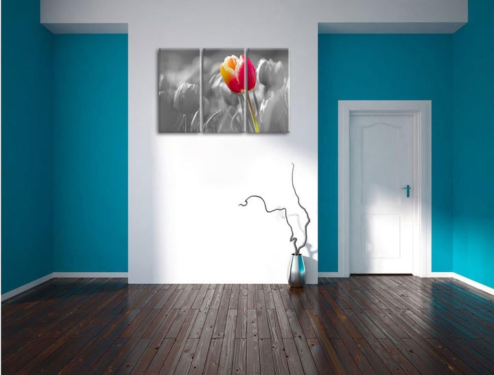 Pixxprint Blühende rote Tulpen als Leinwandbild/Grösse: 3 Teilig (120x80) cm/Wandbild/Kunstdruck/fer