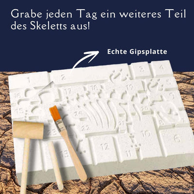 Dinosaurier - Der Ausgrabungs-Adventskalender. 24 coole Überraschungen zum Ausgraben und Entdecken: