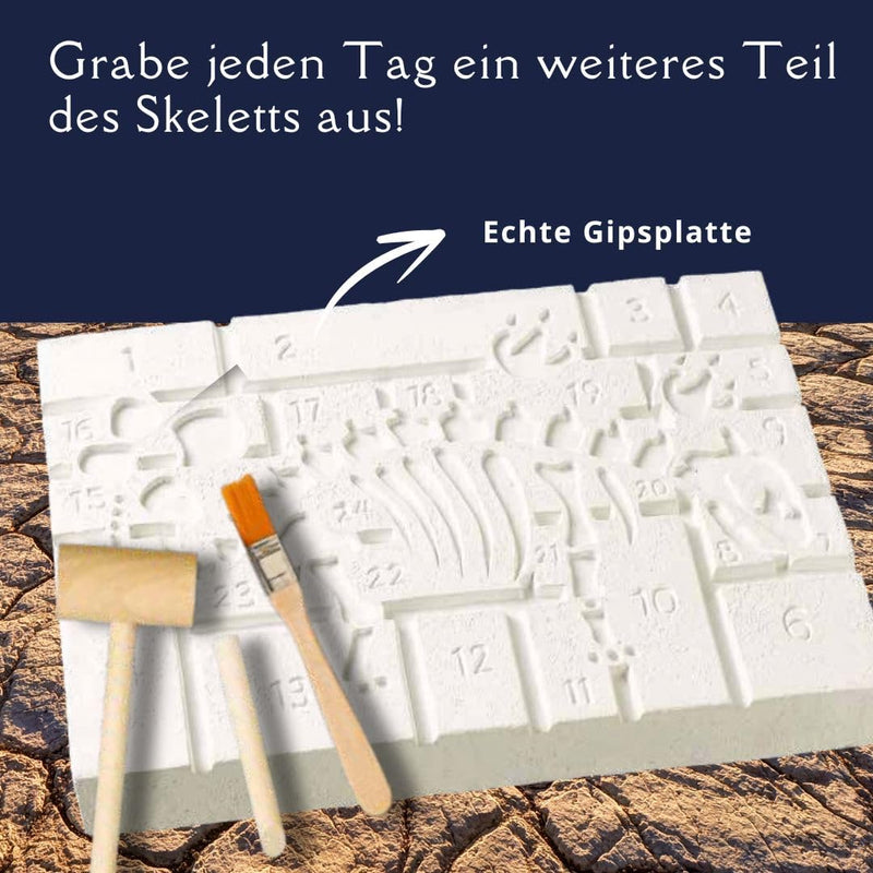 Dinosaurier - Der Ausgrabungs-Adventskalender. 24 coole Überraschungen zum Ausgraben und Entdecken: