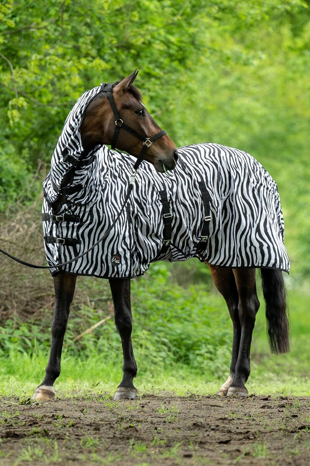HKM 550682 Fliegendecke mit Halsteil Zebra mit Bauchlatz, Gr. 95 Weiss/Schwarz 95, Weiss/Schwarz 95