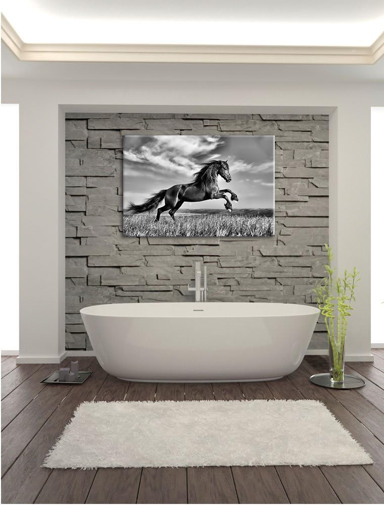 Pixxprint Monocrome, Schwarzer Hengst auf grünen Wiese, Format: 100x70 auf Leinwand, 100x70