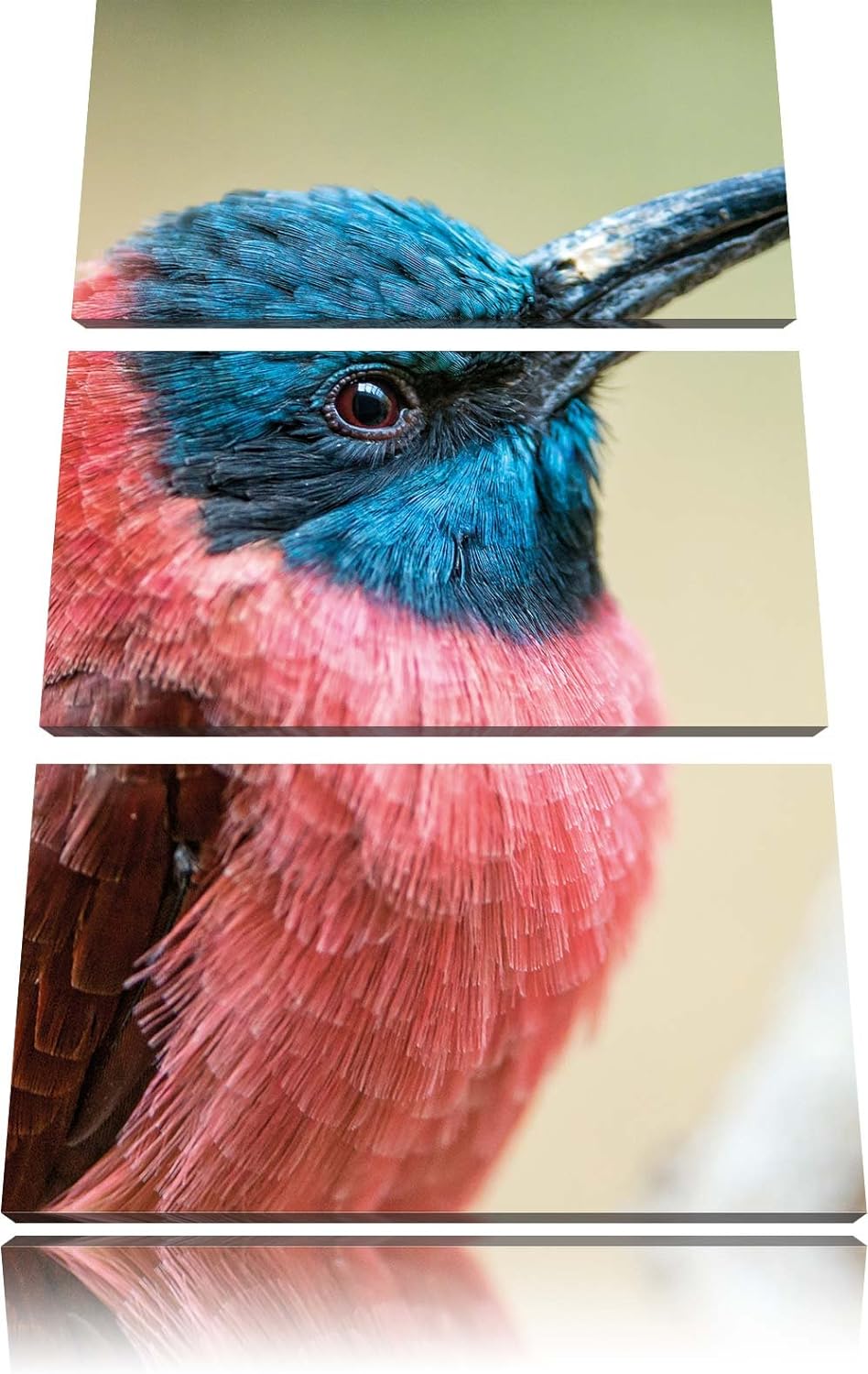 Pixxprint Kleiner tropischer Vogel als Leinwandbild/Grösse: 3 Teilig (120x80) cm/Wandbild/Kunstdruck