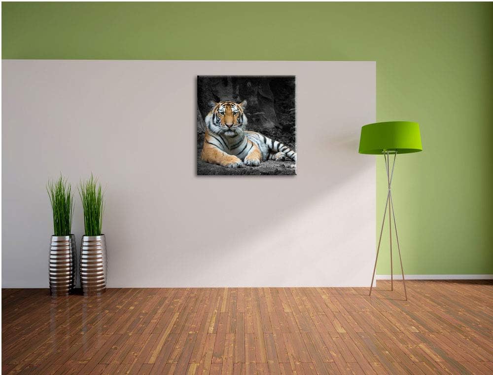 ruhender Löwe schwarz/weiss, Format: 70x70 auf Leinwand, XXL riesige Bilder fertig gerahmt mit Keilr