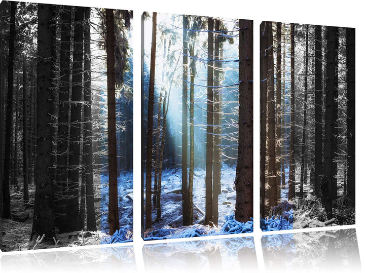 Pixxprint Sonne Winterwald als Leinwandbild | Grösse: 3 Teilig (120x80) | Wandbild| Kunstdruck | fer