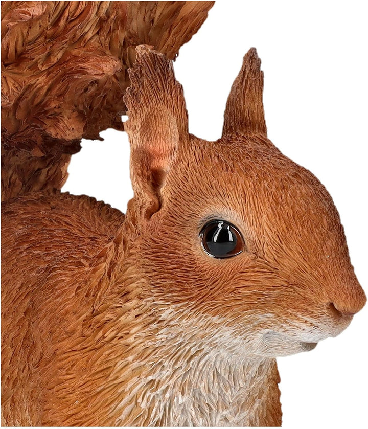 Figuren Shop GmbH Gartenfigur Eichhörnchen – Lebensechte HotAnt Figur, 22 cm, wetterfest &amp; handbemal