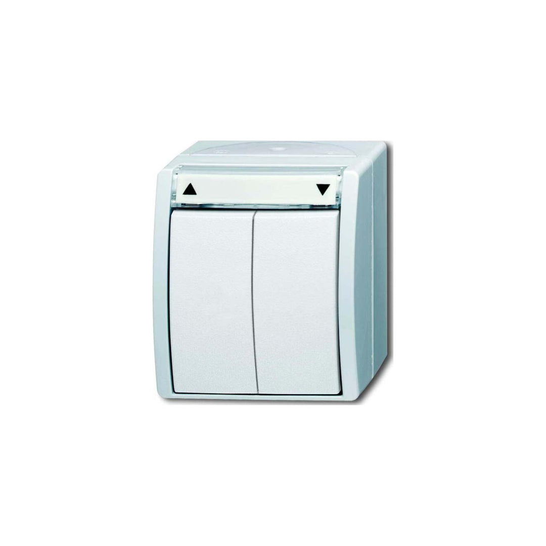 Busch-Jaeger BUSC Jalousietaster 2621/4 W-54, 250 V, Bunt