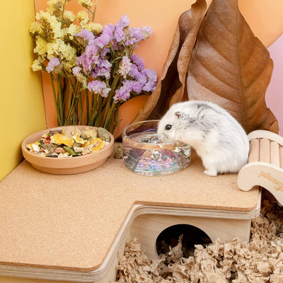 Niteangel Hamster Feeding & Water Bowls- Mount Fuji Series Glass Drinking Bowls for Dwarf Syrian Ham
