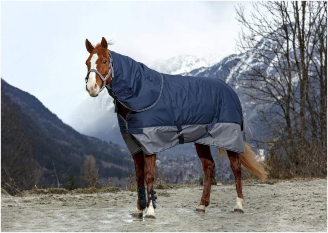 Equit'M Unisex Turnout Teppich Tyrex 600 D, 130 cm 4 ft/9-Inch/145 cm marineblau/grau, 4 ft/9-Inch/1