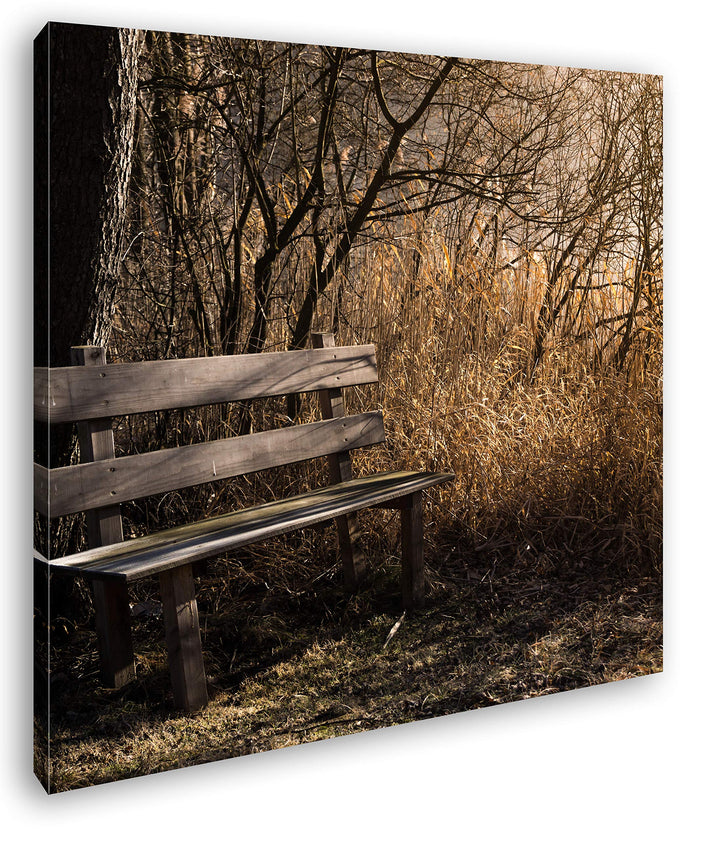 deyoli einsame Bank im Wald Format: 70x70 als Leinwandbild, Motiv fertig gerahmt auf Echtholzrahmen,