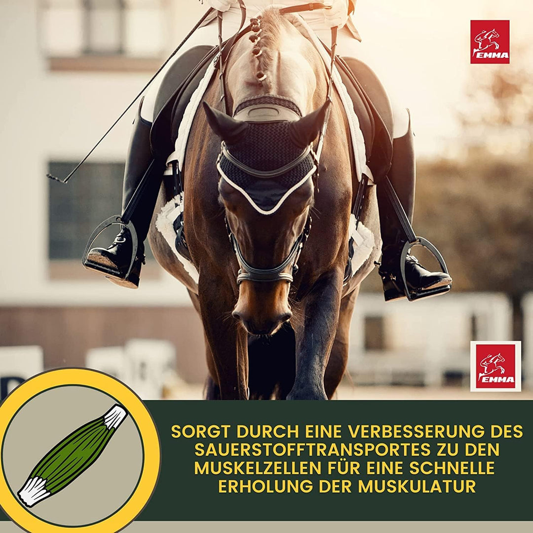 EMMA Reiskeimöl für Pferde + Aminosäuren Pferd I 2 * 1 L 30ml Liquid + Paste Amino Muskel Plus Vitam