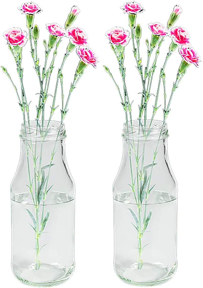24 Stück Runde Mini Vasen Typ 263 Glasfläschchen kleine Dekoflaschen Flasche Väschen Vase Glasflasch