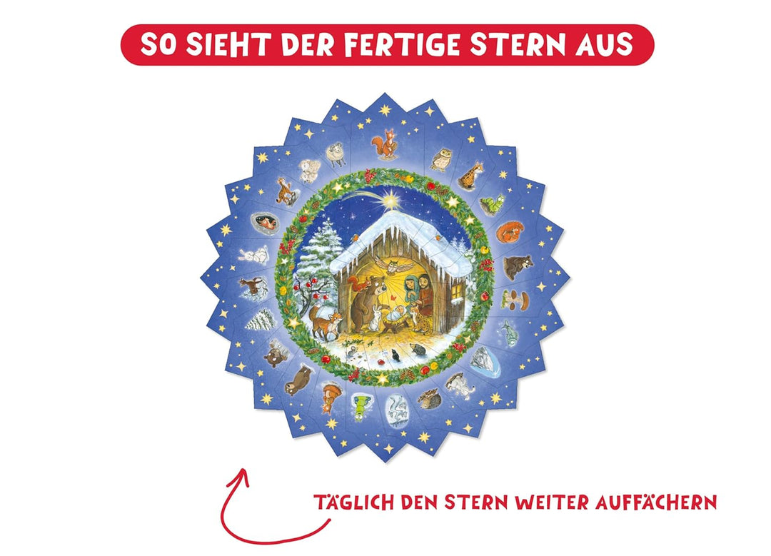 Tiere auf dem Weg zur Krippe: Adventskalender mit einem Stern (Adventskalender mit Geschichten für K