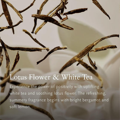 Rituals Raumspray The Ritual of Karma – Lufterfrischer mit Lotus und weissem Tee – entspannender und