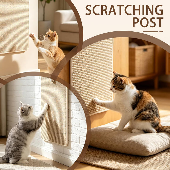 Kratzmatte Katze, 60x30cm Sisal Teppich, Kratzbretter Katze mit Spielball | Katzen Kratzmöbel-Schutz