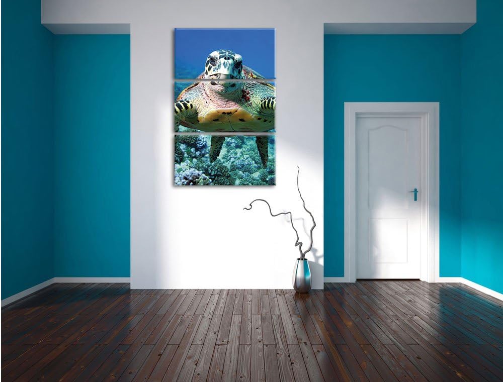 Pixxprint Schildkröte im Korallenriff als Leinwandbild/Grösse: 3 Teilig (120x80) cm/Wandbild/Kunstdr