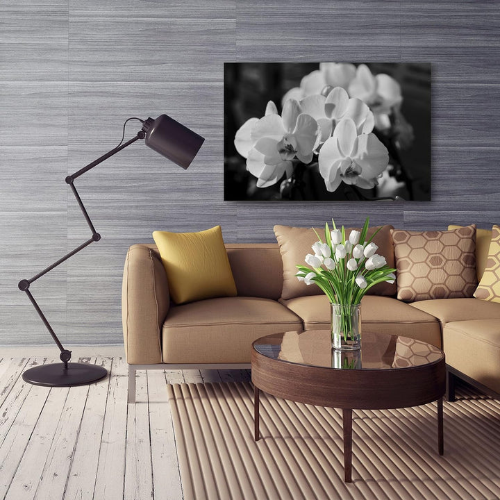 Feeby. Wandbild - 1 Teilig - 50x70 cm, Leinwand Bild Leinwandbilder Bilder Wandbilder Kunstdruck, OR