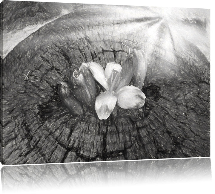 Pixxprint Die Kraft der Natur Kunst als Leinwandbild/Grösse: 100x70 cm/Wandbild/Kunstdruck/fertig be