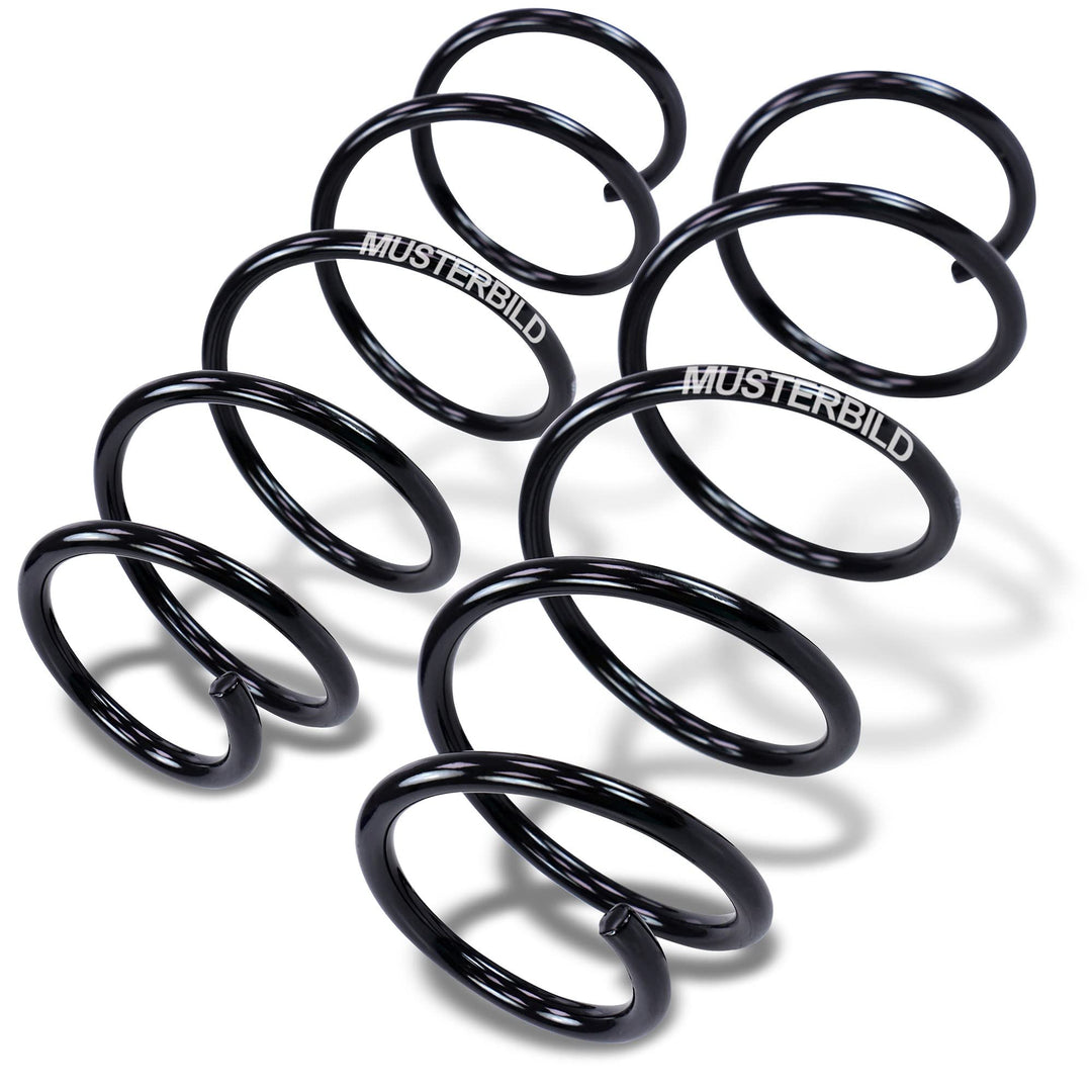 BESTPRICE 2x Fahrwerksfeder hinten links & rechts Kompatibel mit SEAT TOLEDO I (1L2), VW VENTO (1H2)