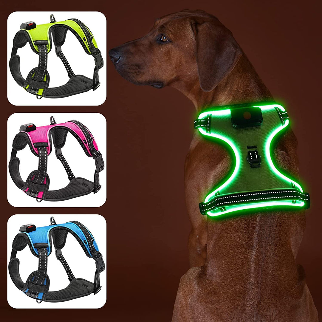 Bpawser Light Up Hundegeschirr LED Hundegeschirr No-Pull mit Griff Wiederaufladbare beleuchtete Hund