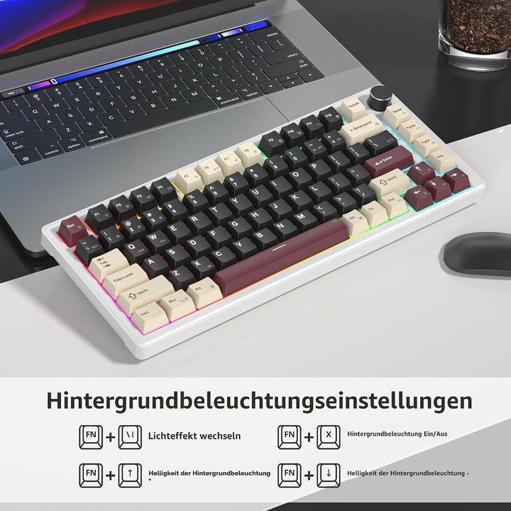 SOLIDEE Verkabelte Mechanische Gaming Tastatur 75 Prozent, Hot-Swap-Fähig Mit Gasket Struktur, RGB H