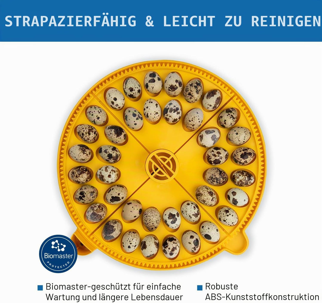 Brinsea Products Maxi Advance Inkubator, kleines Eierviertel, 40 Wachteleier, Gelb
