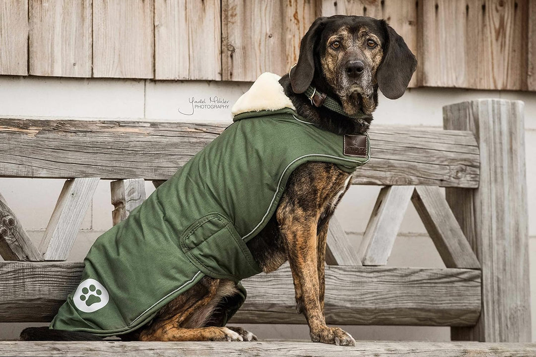 Kentucky - Hundemäntel wasserdicht olive grun extra large 62 XL, XL