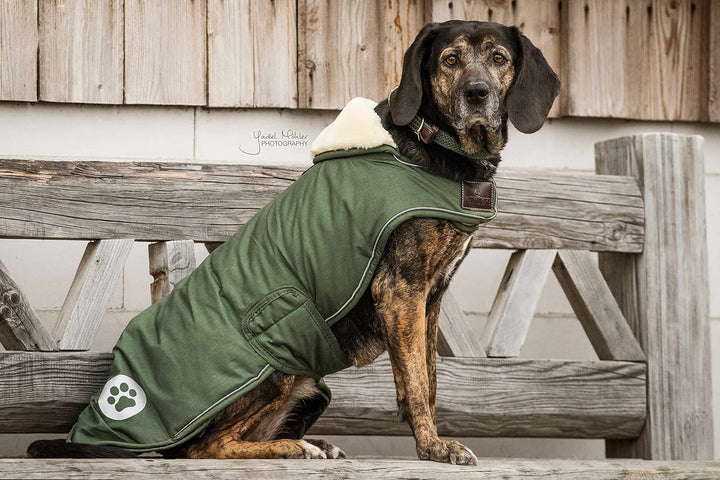 Kentucky - Hundemäntel wasserdicht olive grun extra large 62 XL, XL
