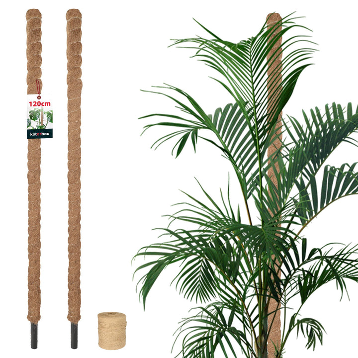KOTARBAU® 2er Set Moosstab für Monstera Kokos Natural ⌀3,2 x 120cm Pflanzenstab Rankhilfe für Monste