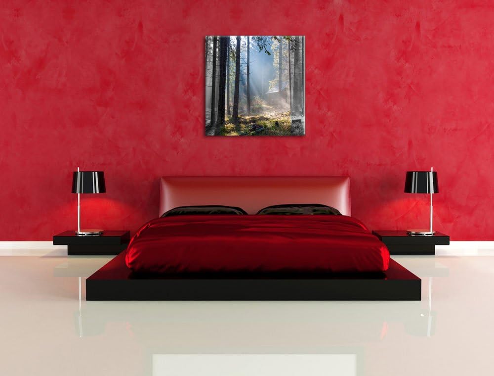 Pixxprint Häuschen im Wald mit Sonnenstrahlen schwarz/weiss, Format: 70x70 als Leinwandbild, 70x70