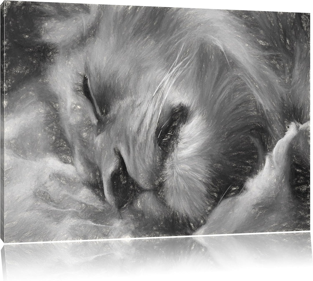 Pixxprint schlafender Löwe Kunst als Leinwandbild/Grösse: 100x70 cm/Wandbild/Kunstdruck/fertig bespa