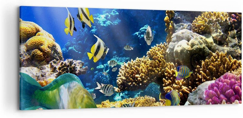 Wandbilder Dekoration Wohnzimmer Korallenriff Ozean Krabbe Fisch Panorama Bilder auf Leinwand 120x50