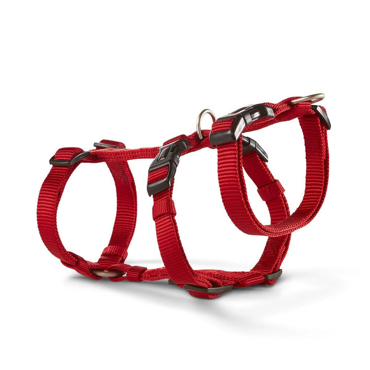Hundegeschirr ausbruchsicher Professional No Escape, M: 40-50cm rot M 40 - 50 cm rot, M 40 - 50 cm r