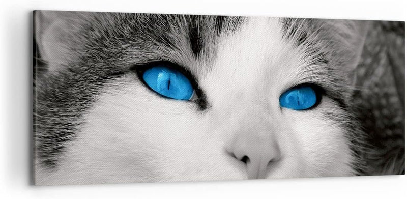 Wandbilder Dekoration Wohnzimmer Katze Tiere blaue Augen Panorama Bilder auf Leinwand 120x50cm Leinw