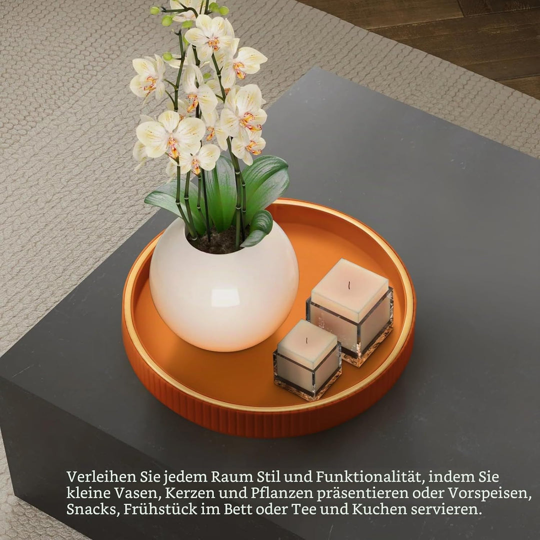 SANZIE Ledertablett, Schreibtisch-Aufbewahrung, Organizer, Premium-Serviertablett, dekoratives Table
