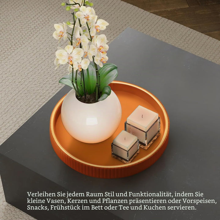 SANZIE Ledertablett, Schreibtisch-Aufbewahrung, Organizer, Premium-Serviertablett, dekoratives Table