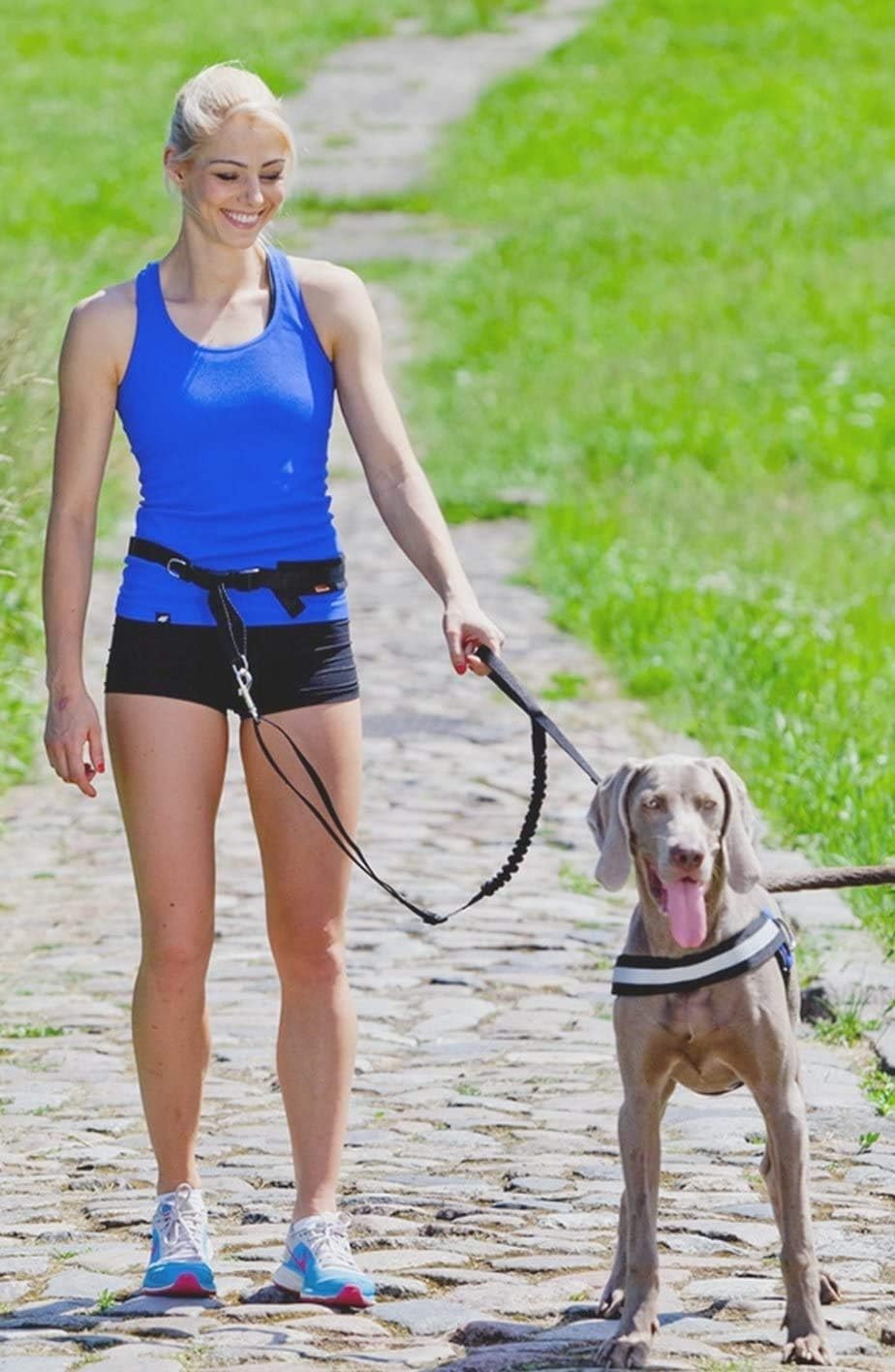 Dingo Jogginggurt 4 in 1 +Hundeleine mit einem Stossdämpfer Set L/XL Gürtel : 3,0 x 70-130 cm Hundel