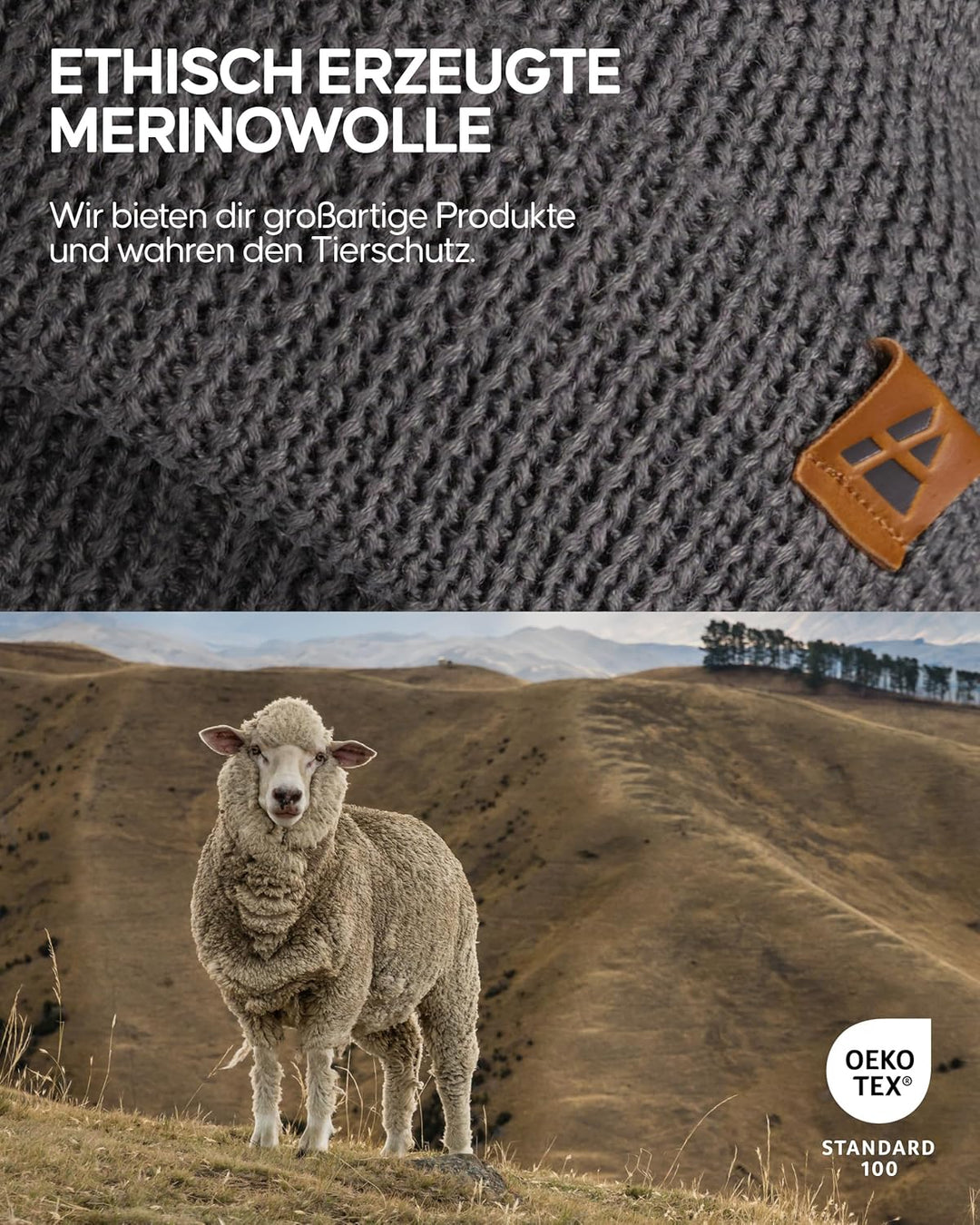 DANISH ENDURANCE Merino Mütze, Klassische Wollmütze, Warme Wintermütze, Winter & Herbst, Weich, Stre