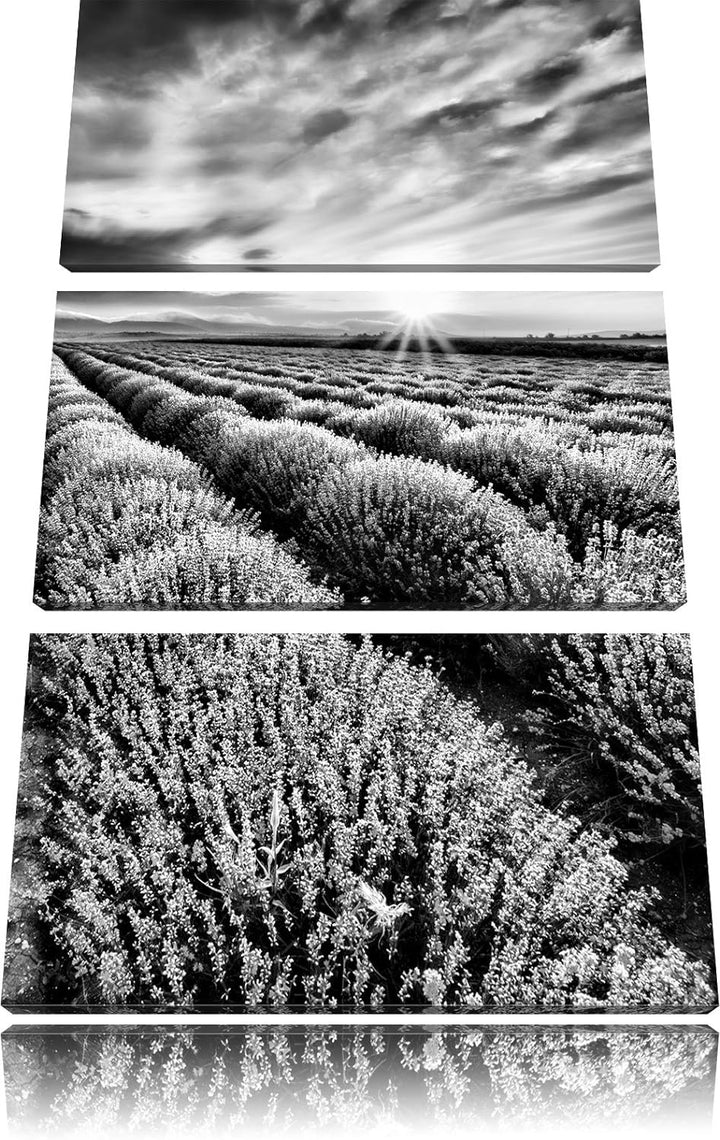 Pixxprint Monocrome, Traumhafte Lavendel Provence 3-Teiler Leinwandbild 120x80 Bild auf Leinwand