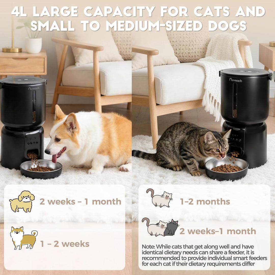Auveach Futterautomat Katze und Katzenbrunnen Set - 4L 2.4G WiFi Futterspender mit Programmierbarem