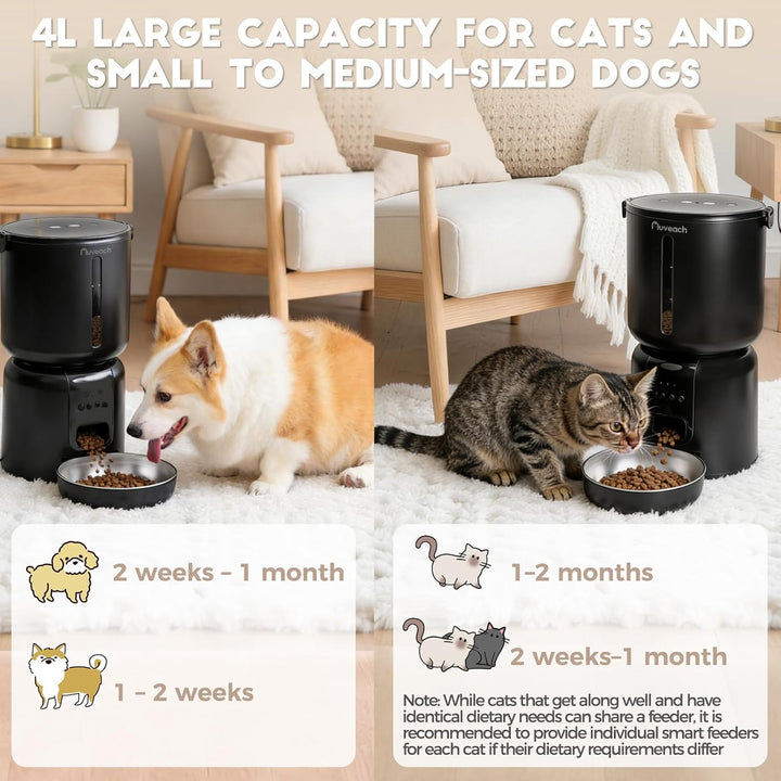 Auveach Futterautomat Katze und Katzenbrunnen Set - 4L 2.4G WiFi Futterspender mit Programmierbarem