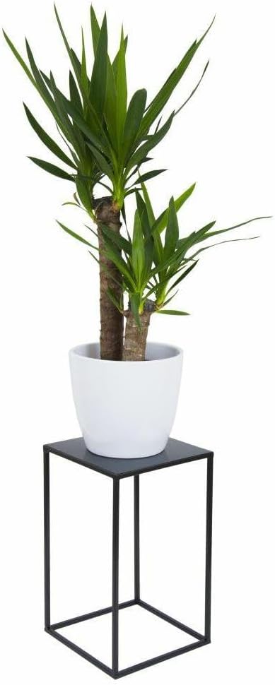 HowHomely Blumenständer Metall Schwarz 40 cm Hoch - Solider und Robuster Blumenhocker Metall - Pflan