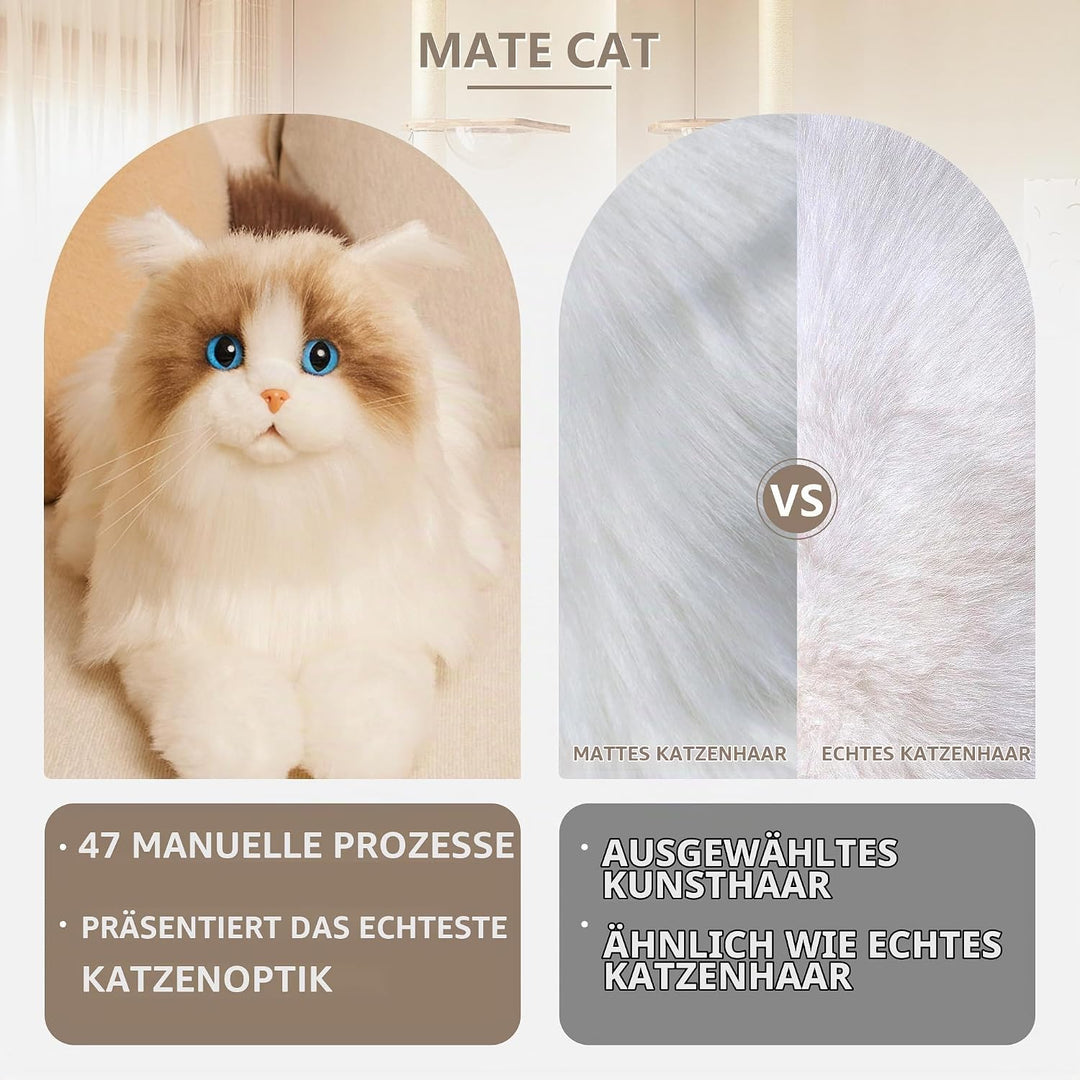 Chongker Interaktive Ragdoll Katze, Realistische Plüschkatze mit Miauen, Schnurren und Herzschlag, B