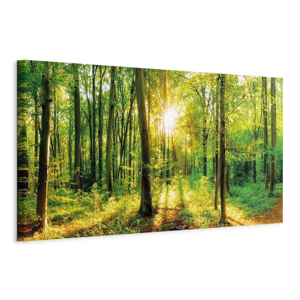 murando Akustikbild Wald 135x45 cm Bilder Akustikschaum Hochleistungsschallabsorber Schallschutz Lei