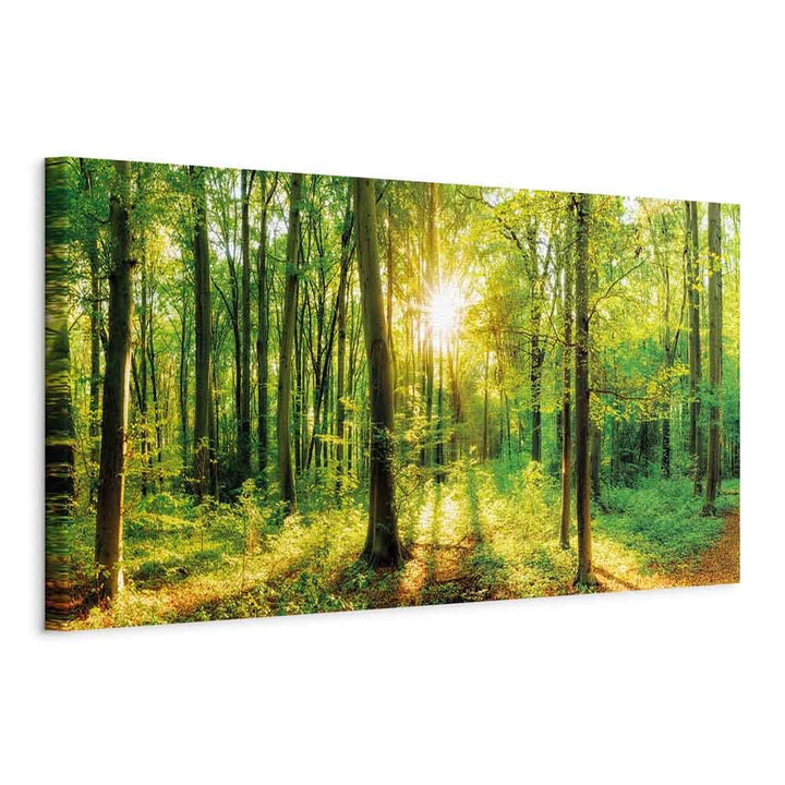 murando Akustikbild Wald 135x45 cm Bilder Akustikschaum Hochleistungsschallabsorber Schallschutz Lei