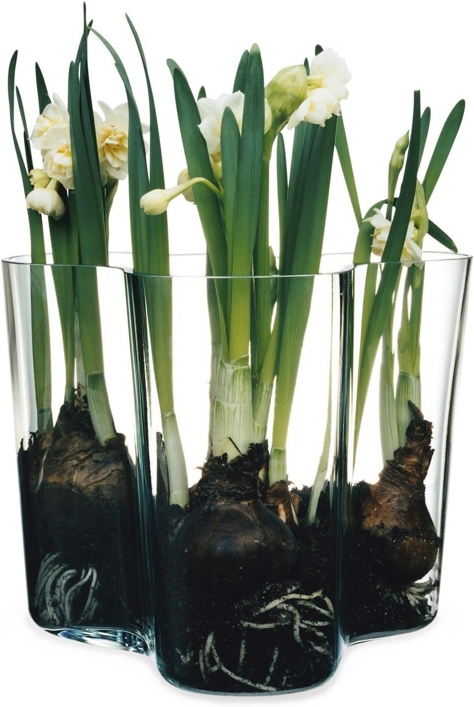 Iittala Vase Aalto 160 mm Klar aus Glas, 160 mm