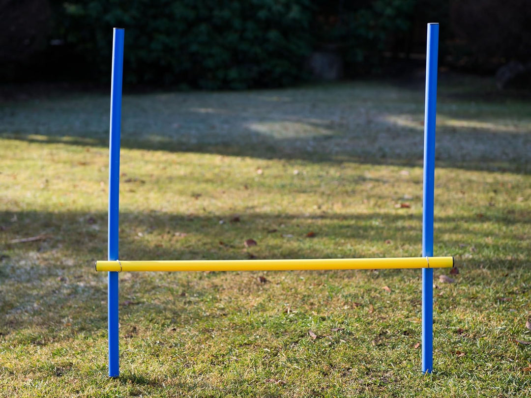 Ingbertson Agility Kit für Hunde – Komplettes Agility-Set für Garten & Hundesport, Hürden & Slalomtr
