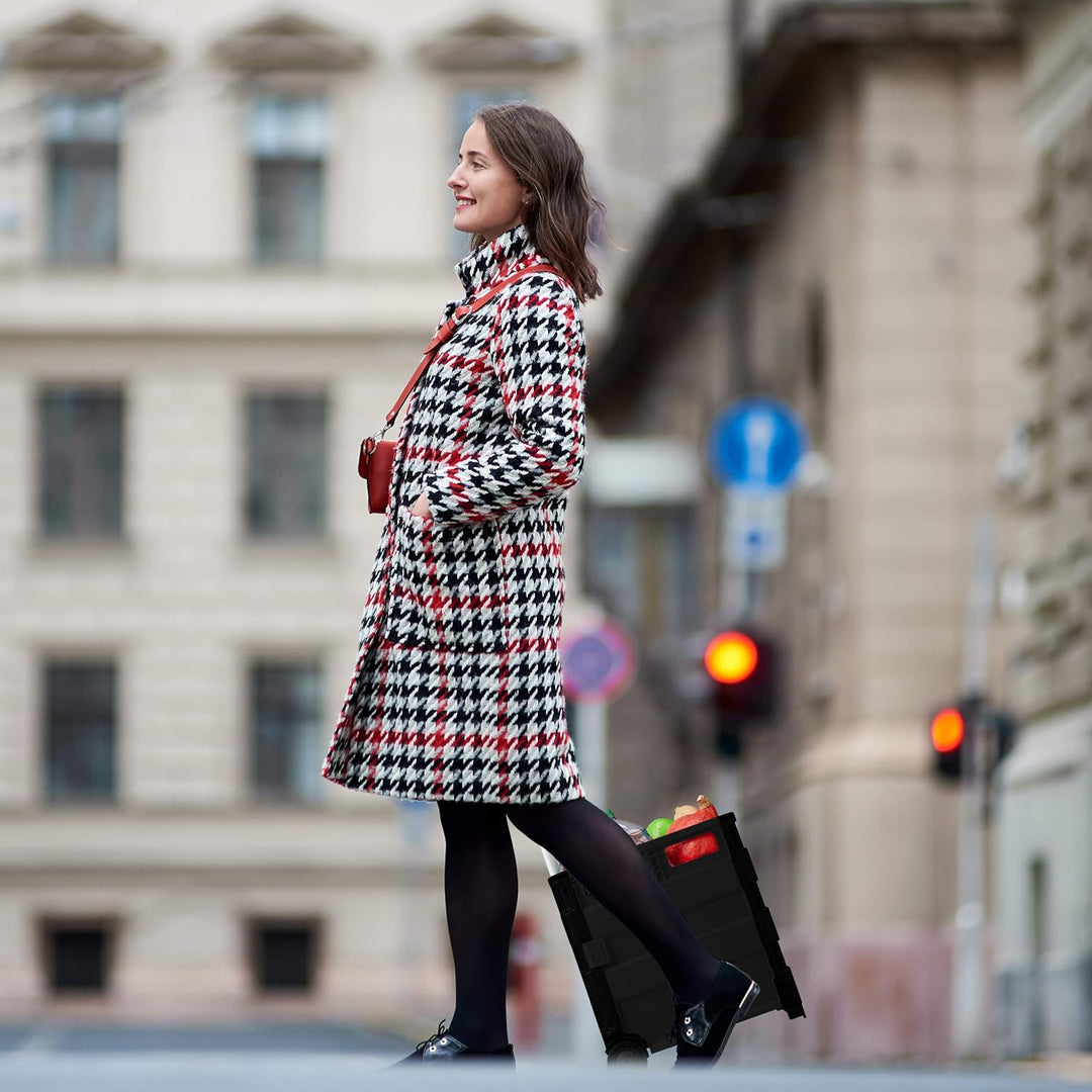 Relaxdays Einkaufstrolley klappbar, mit Teleskopgriff & Deckel, Transporttrolley, bis 35 kg, HBT 99x