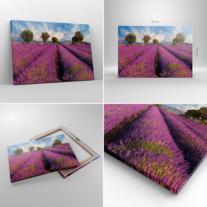 Bilder auf Leinwand Landschaft Wiese Pflanzen Leinwandbild 70x50cm Wandbilder Dekoration Wohnzimmer